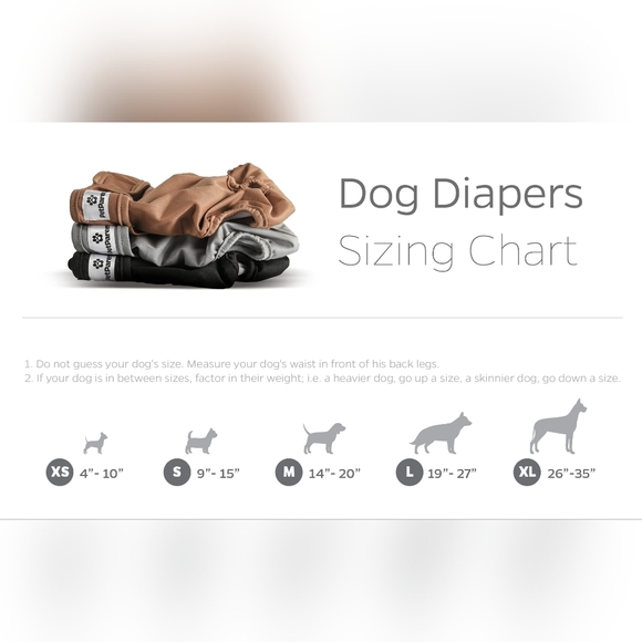 Pet Parents Dog Diapers - Picture 3 of 3